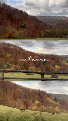 Autumn 🍂🍁 #toamna #2025 