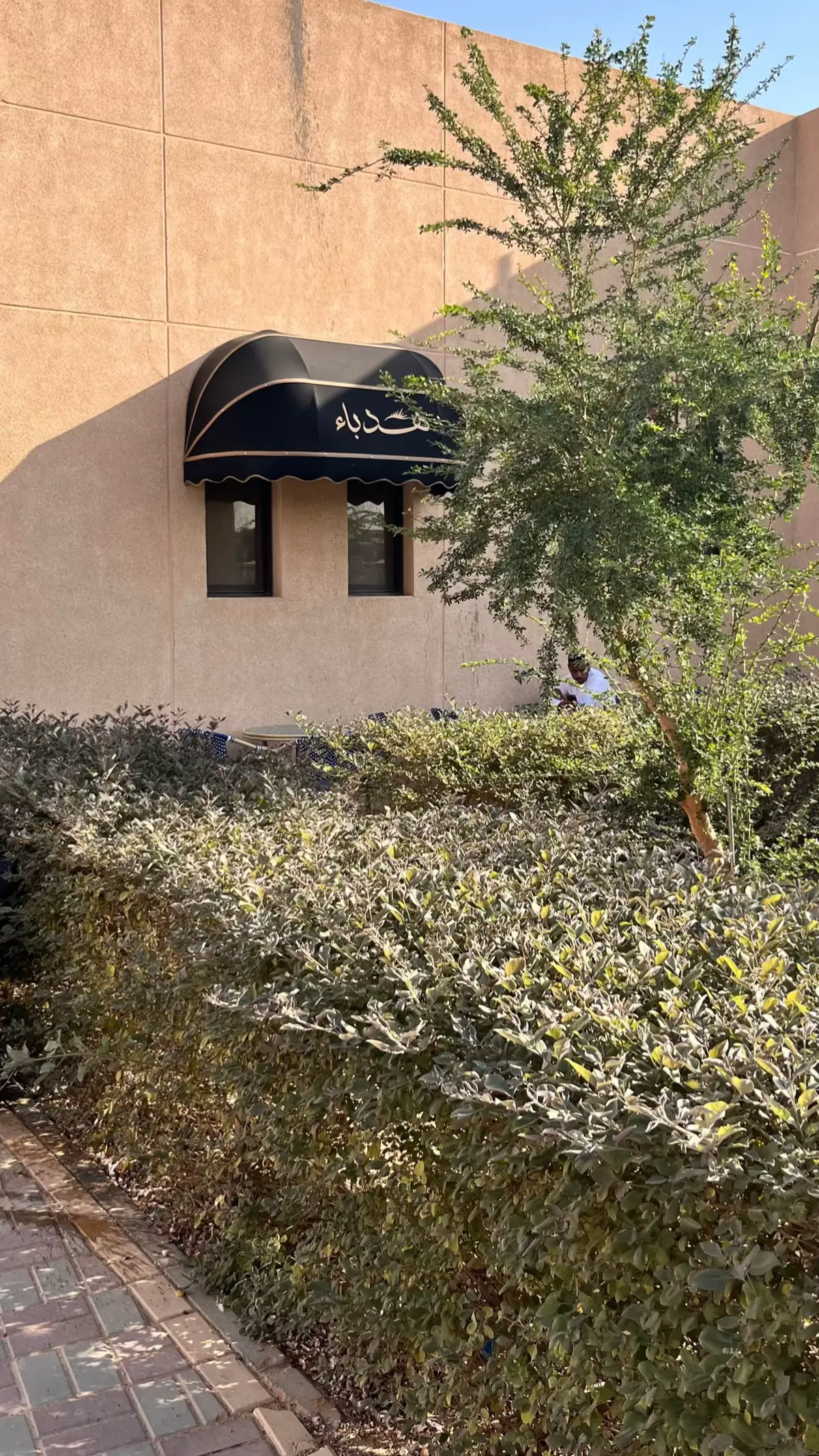 #اكسبلور #تصميم_فيديوهات🎶🎤🎬 #تصويري_احترافي #كفيهات #قهوتي_farah_al_hyaat🤎 