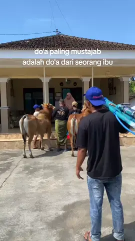 🙏🙏 #kerapansapimadura #doaibu #menembuslangit #fyp #madura #lumajang 