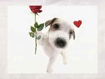 #CapCut #serveurdiscord #discord #anime #pourtoi 