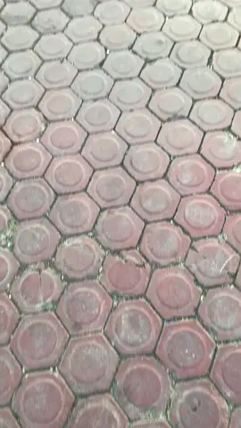 Itam manis 🕷️ #jupiterz #5tpmenolakpunah #5tp #5tpbungo 