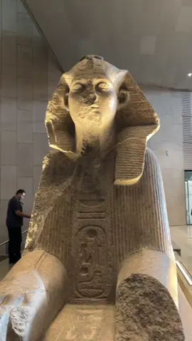 ابو الهول المتحف المصري الكبير #الحرب_العالمية_الثالثة #مصر #فيلم  #funny 