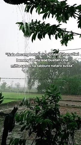 Nala deceng #ypfッ #katakata #bugis #storybugis #viral 