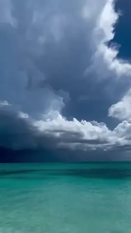 القران_الكريم_راحه_نفسية  🕋  #creatorsearchinsights2025💗💗💪💕✅✅  #creatorsearchinsightsincentive #الشيخ الزين  #الشيخ محمد الزين  #الشيخ محمد الزين   