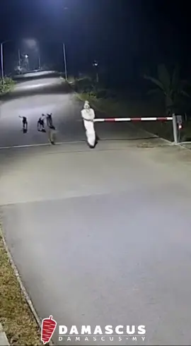 Penampakan pocong kena kejar anjing😅 #videolucu #cctv  #viral  #fyppp #tiktokmalaysia 