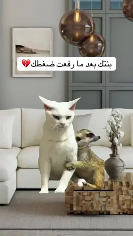 #Meme #MemeCut #السعودية🇸🇦 #الشعب_الصيني_ماله_حل😂😂 #fypシ 