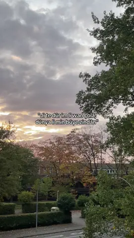 #fyppp #fyyyy #kürtçeşarkılar #keşfetbeniöneçıkar #keşfet 