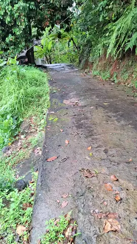 kukurusukan #l300maniaindonesia #fyp #pastifyp 