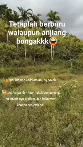 🐕:nan agak jauah lah bukak den stek tuan dakek bana  🤣🤣🤣 #izinpost🙏 #fporbisumbar#porbi_sumbar #porbimarenten #porbimarentensumbar #porbi50kota #porbiindonesia ##porbisolok #porbijawabarat #porbitaptapekorbabi #fyp #fyppppppppppppppppppppppp #fypdongggggggg 