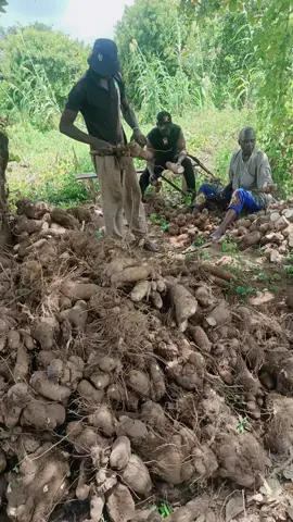 #fppppppppppppppppppppppp #fyppppppppppppppppppppppp #house 