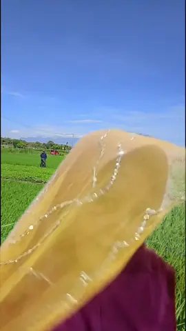 hiburan  bolywood an dulu ges ##creatorsearchinsights #hiburan dulu yaa nyanyi lagu bolywood indiaan gees#fyp 