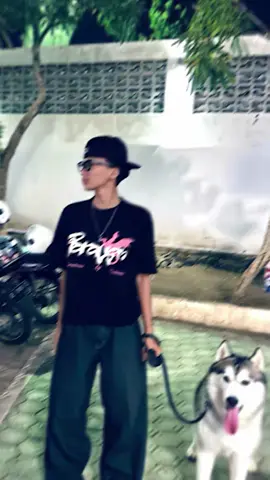 ga kalcer,ga apa njing,iya betul ga kalcer ga makan🐶#trend #capcut #husky #dog #masukberandafyp 