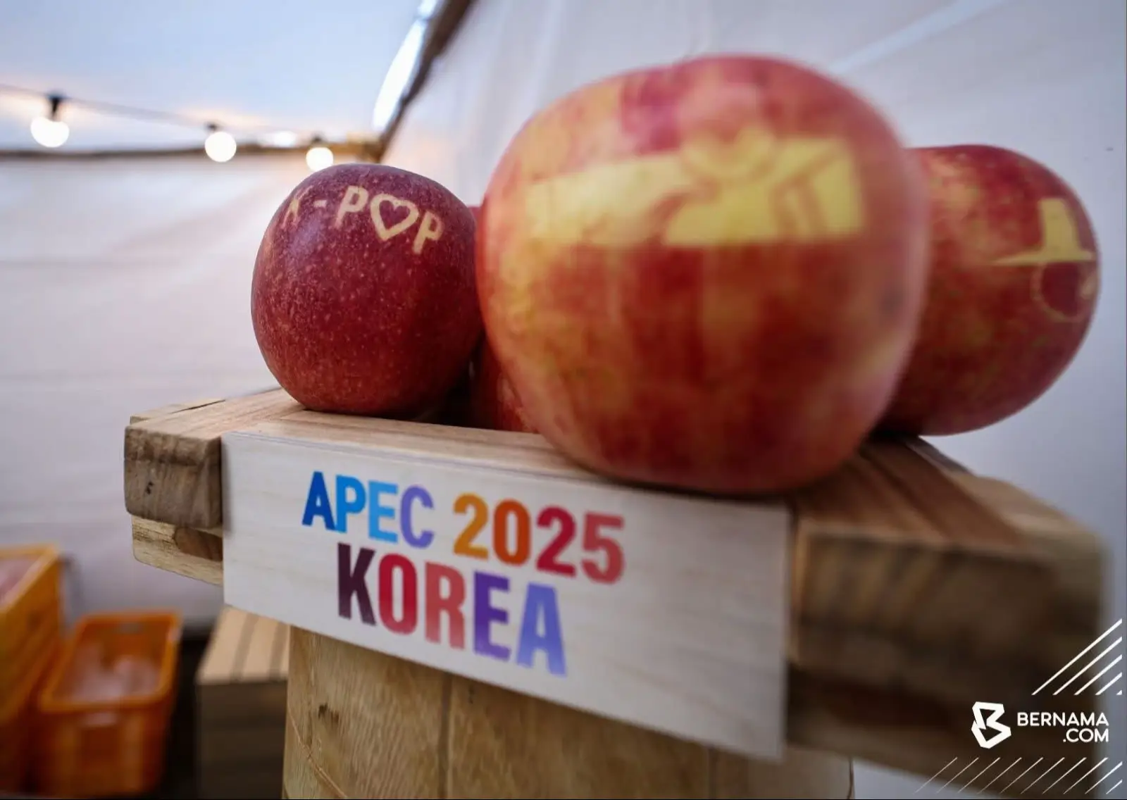 #SouthKorea  Under the tree in autumn season here, a cozy spot provided near the k-food fair for people to gather, eat, and relax. Halal products, local produce like apples, seafood snacks and ready to eat tteok-bokki were among local cuisines served at the k-food fair, as gastronomy diplomacy for delegates ahead of the upcoming Asia-Pacific Economic Cooperation (APEC) Economic Leaders Week. Gyeongju, which situated at coastal area, will host the high-level meetings, marking the second time South Korea organising APEC after last in Busan back in 2005. Prime Minister Datuk Seri Anwar Ibrahim is expected to lead the Malaysian delegation during the summit. 📸 Fathin Suhaira Rahim/BERNAMA #BernamaNews  #BernamaImages #APEC  #AELM 