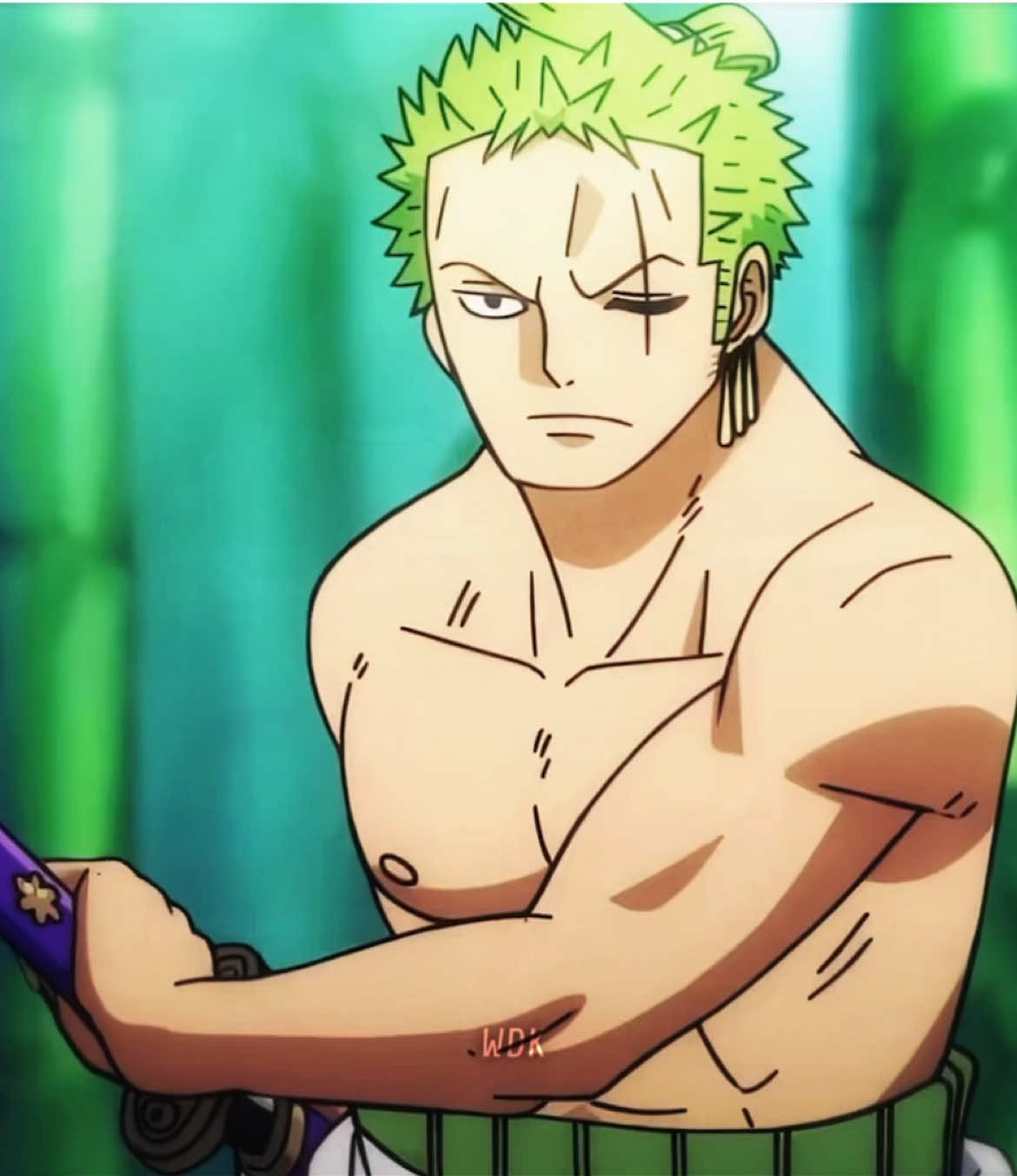 النائب الافضل || #onepiece #onepieceedit #zoro #zoroedit #تيم_وينتر❄️ 