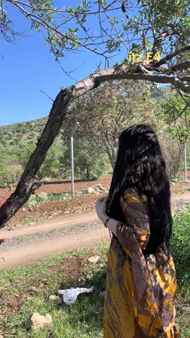 #duhoki #zaxoyi #semel_duhok_zaxo_amedi__akre 