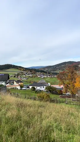 #اكسبلورexplore❥🕊🦋💚❤♥️👌 #تصميم_فيديوهات🎶🎤🎬 #like🦋🦋🦋🦋 