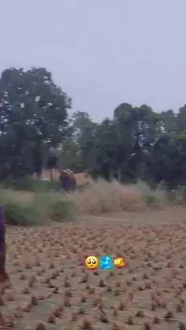 #viral #video #growmyaccount #fupシ 