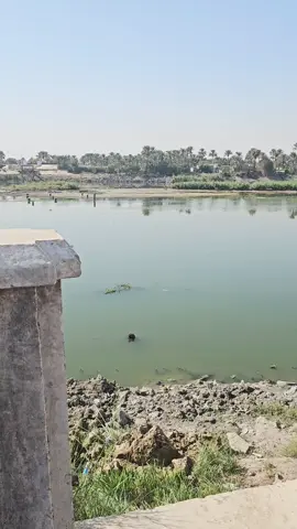 حال نهر الفرات والمنظومة الحاكمة منشغلة بالانتخابات!!!!!!! لاحول ولاقوة الا بالله العلي العظيم...إنا لله وإنا إليه راجعون....