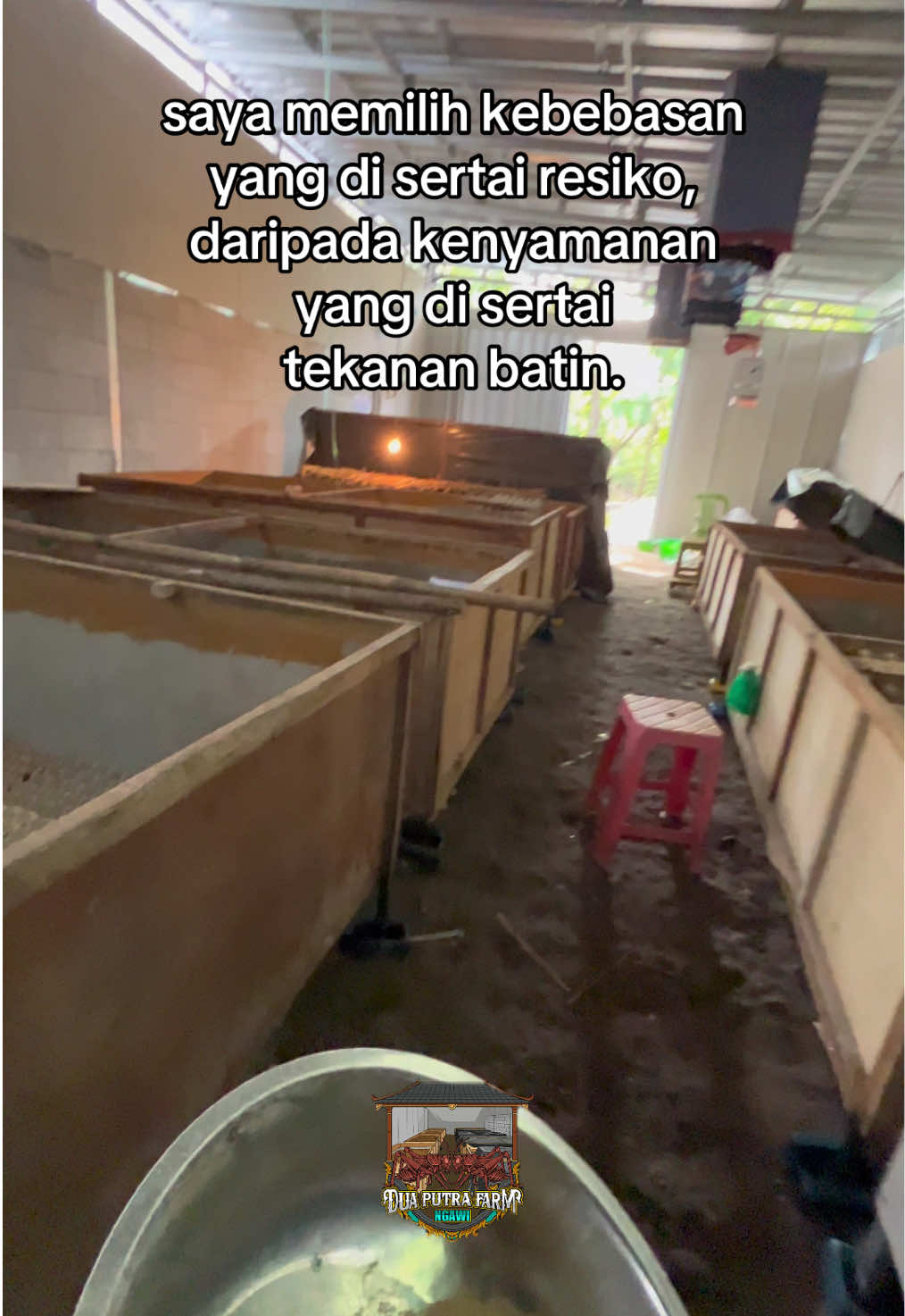 ada tantangannya 🤣 #peternak #peternakmuda #pengusahamuda #fyp 