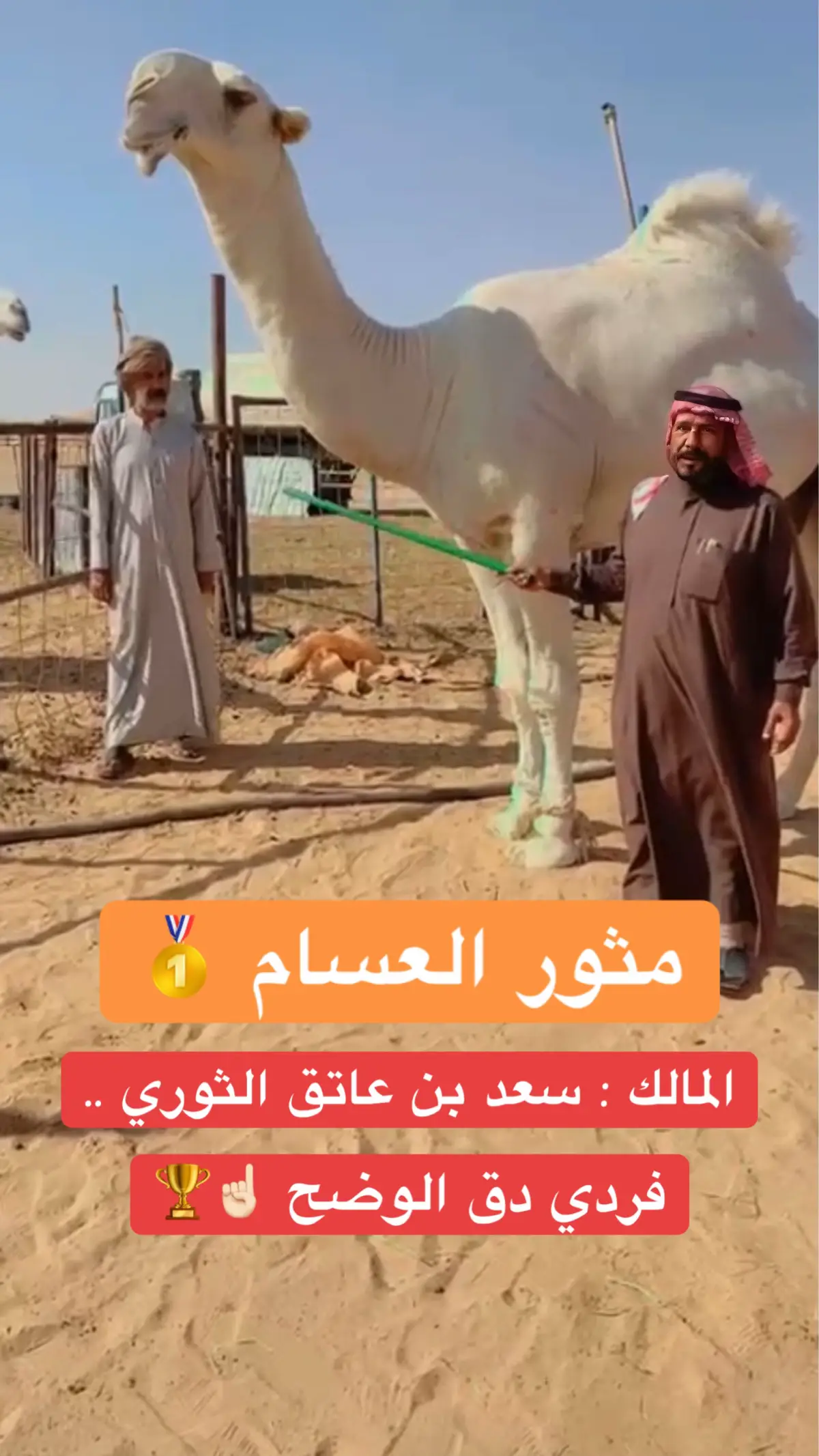 #فردي_الوضح #مثور_العسام #بن_عاتق #الثوري #تلاد_سبيع 