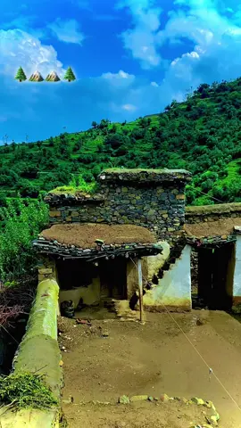 #باجوڑگلونہ🌺🌺🌺 #🥀🥀🥀🥀🥀🥀🥀🥀🥀🥀🥀🥀🌹🌹🥀🥀🌹🌹🌹🥀 