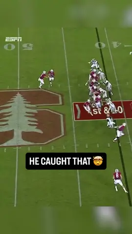 #Viral #NFL #trending #fyp 