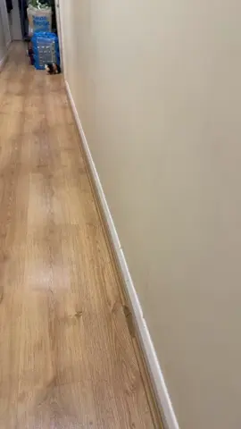 #guineapigsoftiktok #guineapiglove #guineapigcare #guineapiglife 