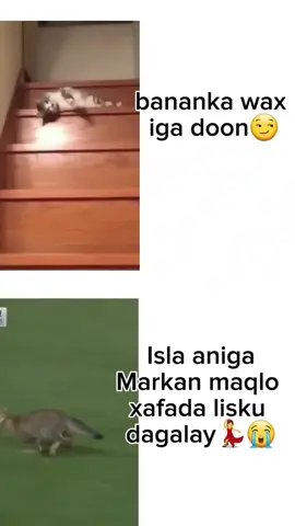war jecliye iga tahay😭😭 #somalitiktok #foryoupage #CapCut #viuseproblem😢 