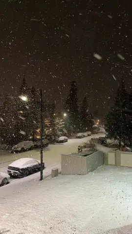 Early morning snow in Banff. 🌨️❄️ #canada #travel #banff #banffnationalpark #winter 