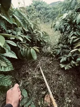 #xh #viral nó nhục nhã lắm