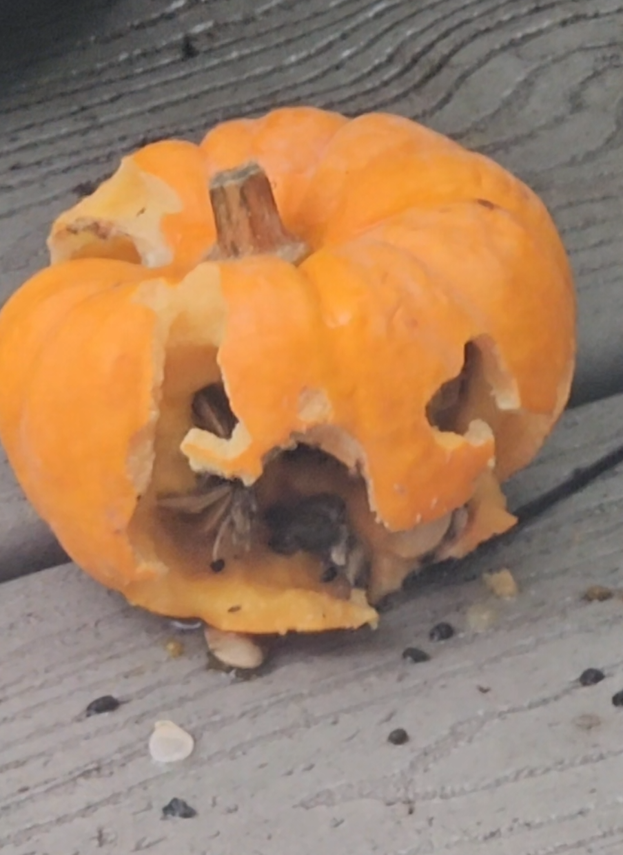 Really missed an opportunity to say 