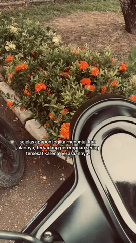 #galaubrutal #fypシ゚ #4u #viral #katakata 