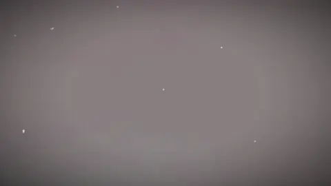 #CapCut #LiveWithElysia #HonkaiImpact3 #honkaiimpact3rd #elysia 