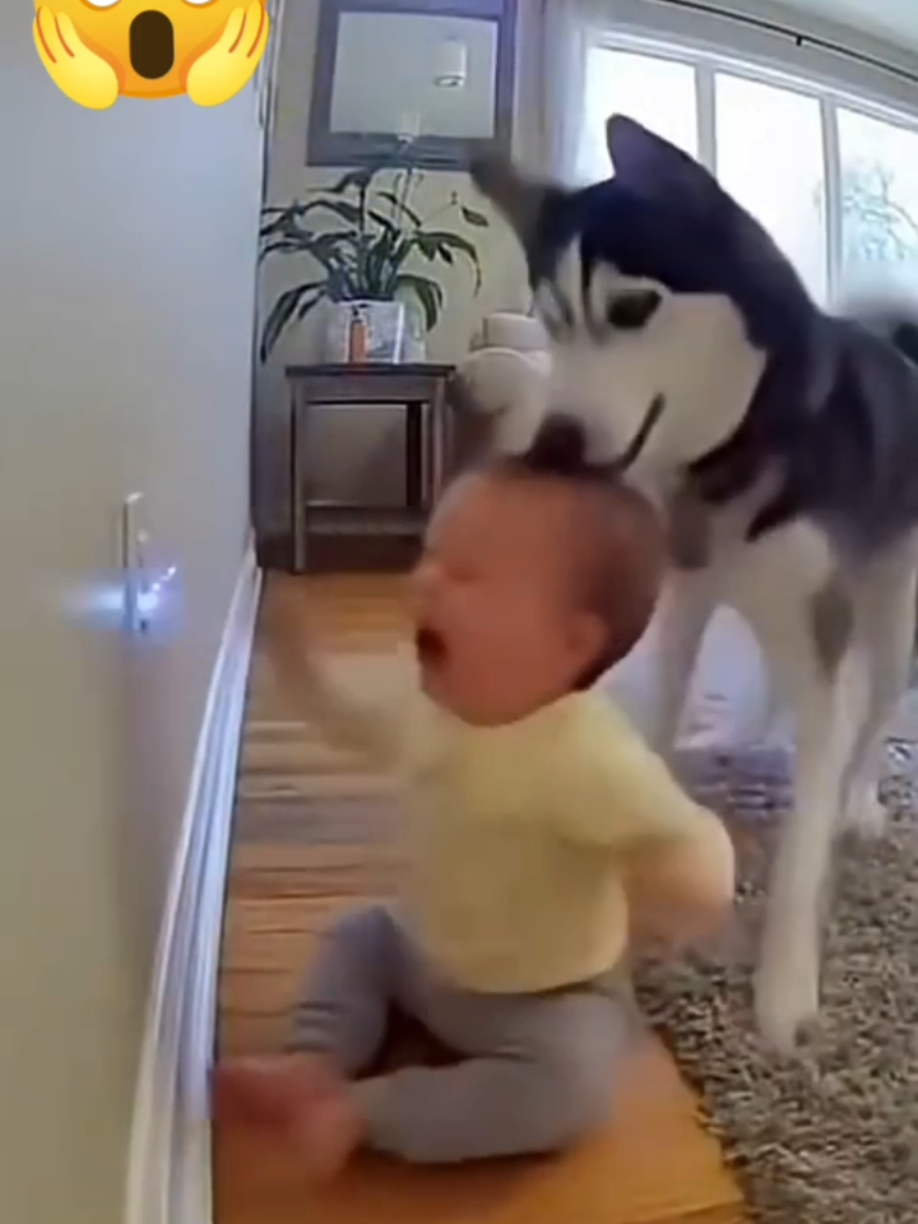 Sungguh keajaiban diluar nalar 😱, detik2 terhindar dari MAUT 😱#viraltiktok #pengikut #viralvideos #videolucungakak #