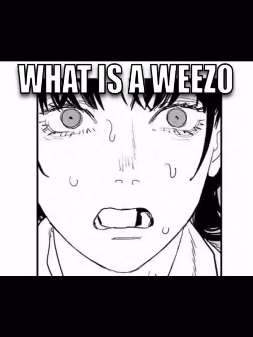 Weezo! video made by: RG33 #fyp #foryou #csm #chainsawman #meme 