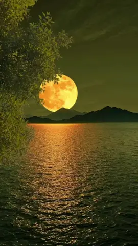 -உயிரே உயிரே🥺💕 #tamilsong #fyp #tamilsong #tamiltiktok #trending 