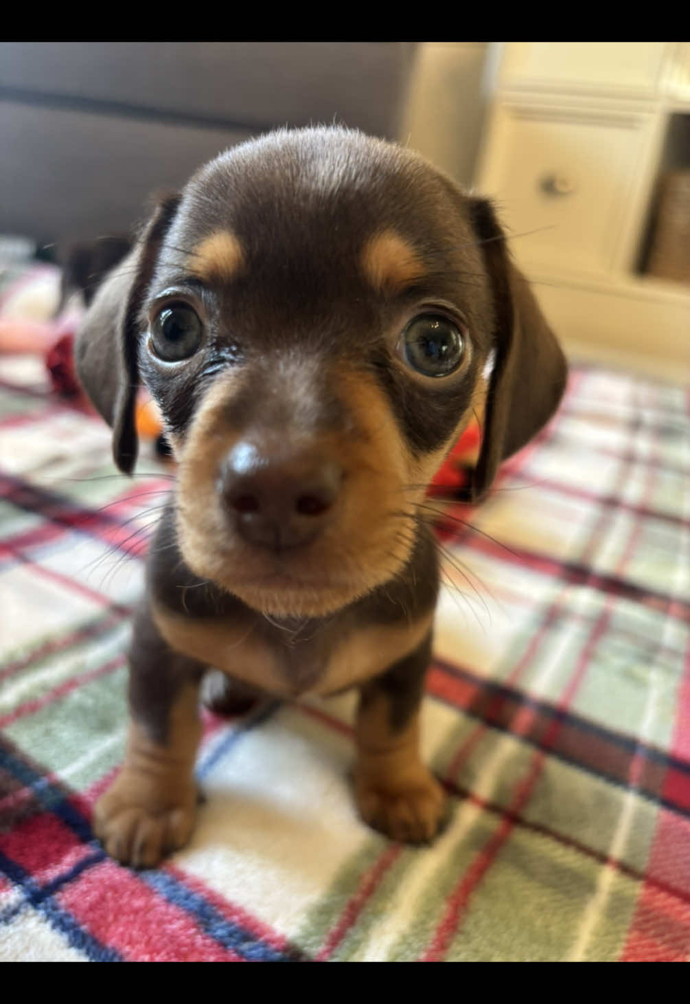 Matilda has her sister over for a play date and she is showing off like a bratty toddler 🤣