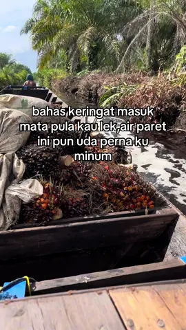 lek lek🔥#sawitontiktok #storysawit🌴🌴 #masukberanda #sawitriau #fyp 