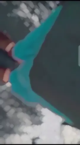 اوارہ پنچھی #♥️ #ہمارے دوست #دوستانہ ٹولہ #😍🥰😘 