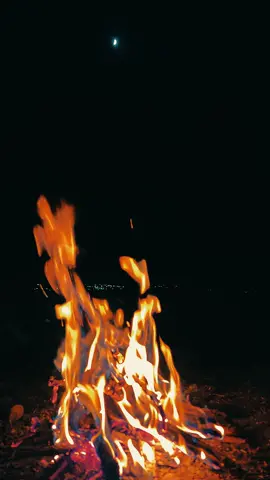 ڈھلنے لگی تھی رات کہ تم یاد آ گئے پھر یوں ہوا کہ رات بڑی دیر تک رہی