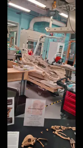 #fyp #fypシ #fypシ゚viral #nc #viral 