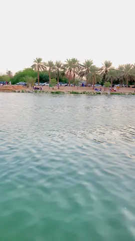 Wadi Haniffah Lake, Riyadh, Saudi Arabia. A perfect place for Tourists and locals visitors. #creatorsearchinsights #wadihanifa #saudiarabia🇸🇦 #fyp #viral 
