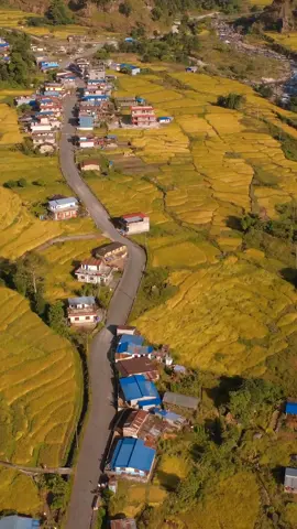 full video BK1 YOutube