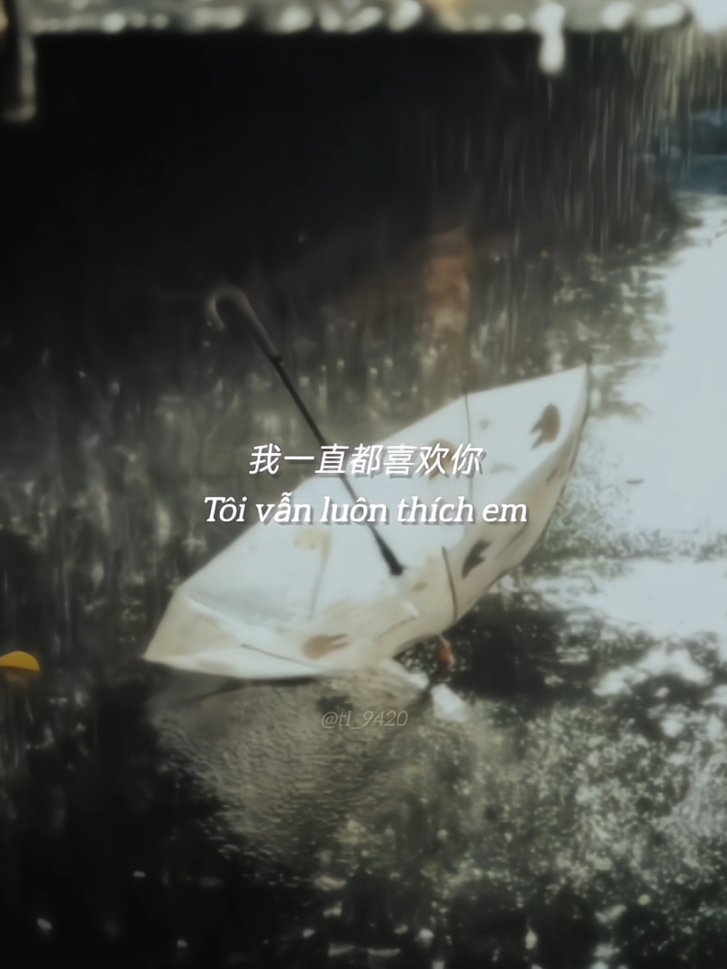 有时候, 爱一个人并不一定要拥有她, 只希望她能过得比我好。#tl_9420 #爱以为常 #nhactrung #情感 #foryou 