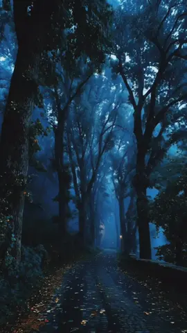 عندما تعزف الروح لحن حزنها يصبح الكلام مدينة من الصمت ..... . . . . . #متابع #لايك #fyp #تعليق #هشتاك 