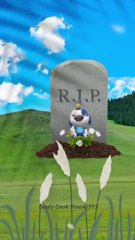 R.I.P Hank #mytalkingtomfriends #mytalkinghank 
