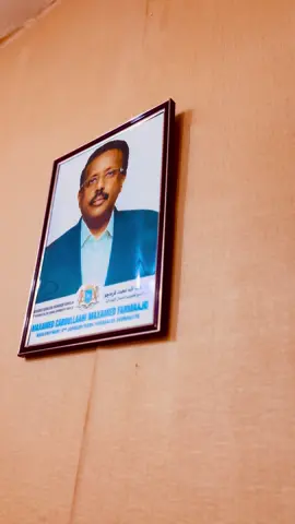 #markalefarmaajo #somalitiktok #farmaajo #xabiibulmalaayiin👑❤ #nabadiyonolol 