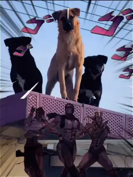 The Pillar Men are an ancient, superhuman race of intelligent beings from the JoJo's Bizarre Adventure series who are the primary antagonists in Part 2: Battle Tendency. Led by Kars, they are vulnerable to sunlight and Ripple energy and are awakened from their millennia-long sleep by a Stone Mask. Their goal is to use the Red Stone of Aja to become 