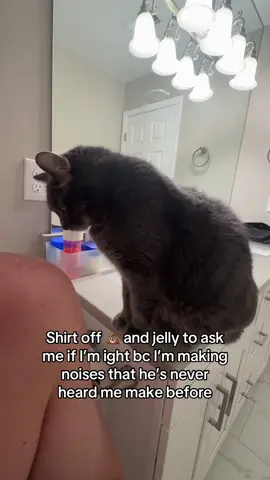 My emotional support bathroom   #cat 