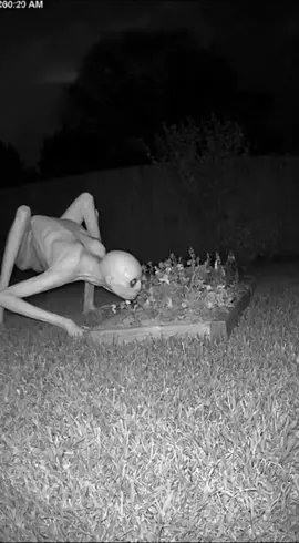 Creepy ghost in the garden Part 1 #horror #ghost #creepy 